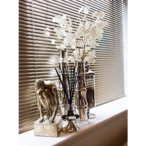 Pairfum London Magnolias in Bloom reed diffuser with 10 black reeds in a 50ml bottle, elegant health and beauty scent.
