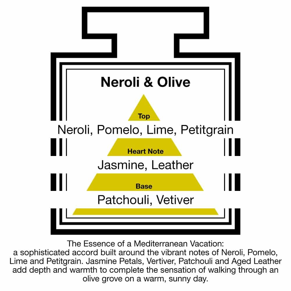 Pairfum London luxury reed diffuser with Classic Neroli & Olive scent, 100ml bottle and 10 reeds, Grace Beauty health and beauty product