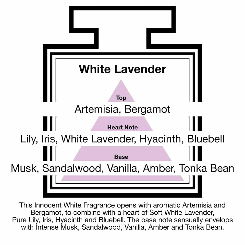 Pairfum London luxury reed diffuser in white lavender scent with 10 black reeds, 100 ml glass bottle, by Grace Beauty.
