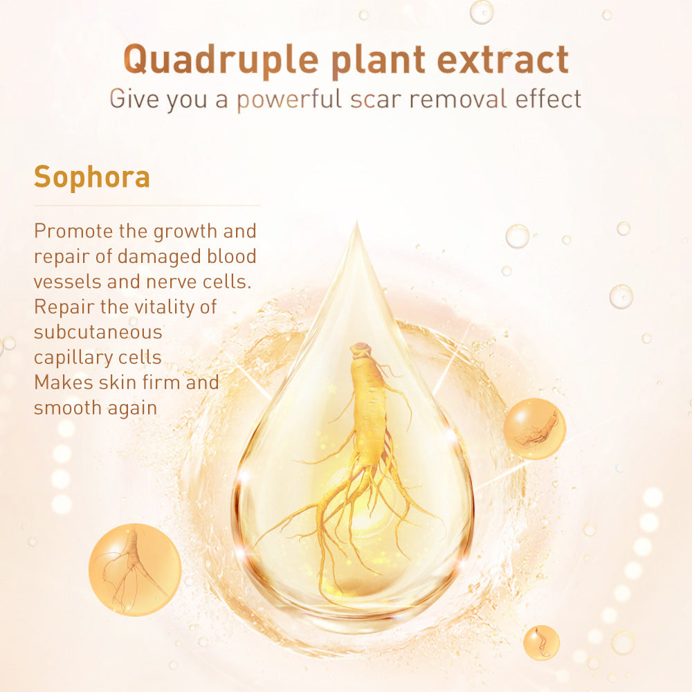 Herbal Repair Gel for scar removal by Cashymart, featuring natural ingredients in a clear tube with green herbal design.